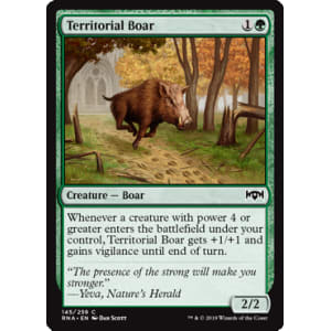 Territorial Boar