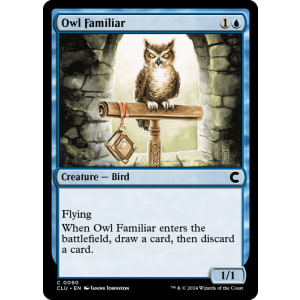 Owl Familiar