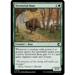 Territorial Boar