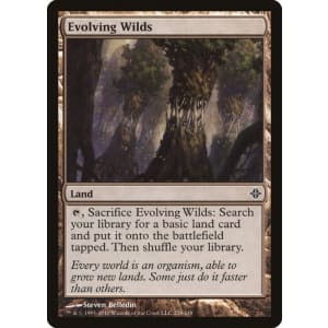 Evolving Wilds