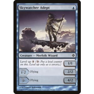 Skywatcher Adept
