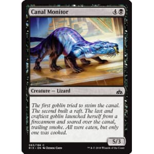 Canal Monitor