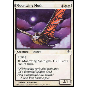 Moonwing Moth