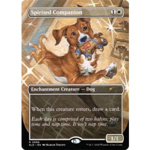 Spirited Companion
