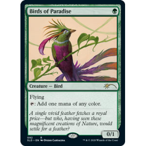 Birds of Paradise