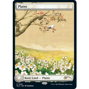 Plains