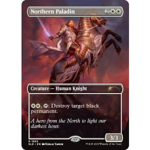 Northern Paladin