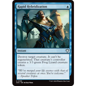 Rapid Hybridization