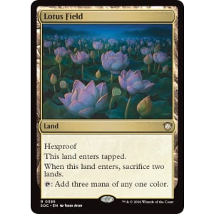 Lotus Field