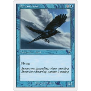 Storm Crow