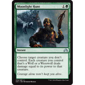 Moonlight Hunt