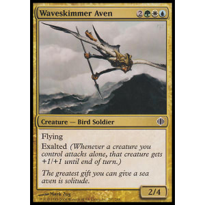 Waveskimmer Aven