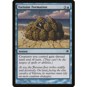 Tortoise Formation