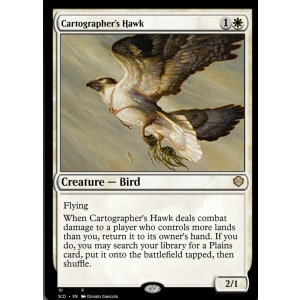 Cartographer's Hawk