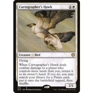 Cartographer's Hawk