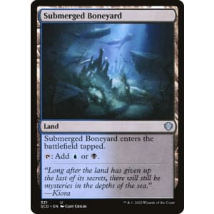 Submerged Boneyard