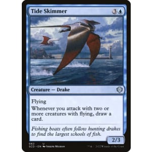 Tide Skimmer