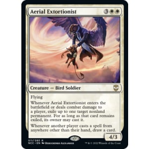 Aerial Extortionist