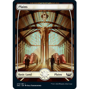 Plains