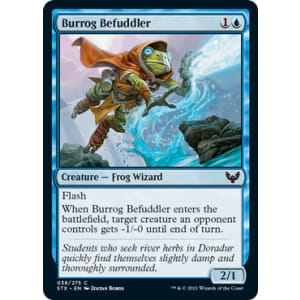 Burrog Befuddler