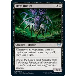 Mage Hunter