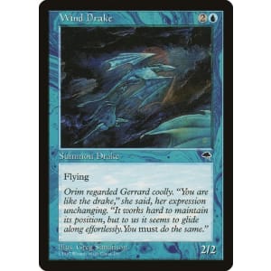 Wind Drake