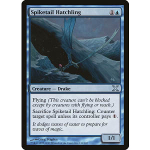 Spiketail Hatchling