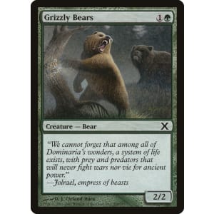 Grizzly Bears