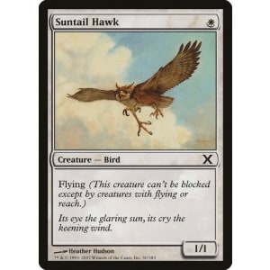 Suntail Hawk