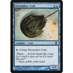 Horseshoe Crab