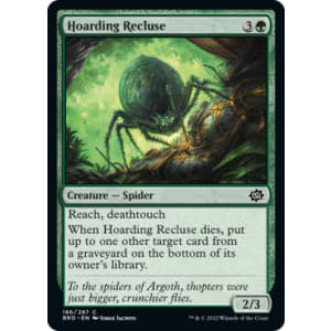 Hoarding Recluse