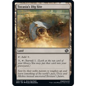 Tocasia's Dig Site