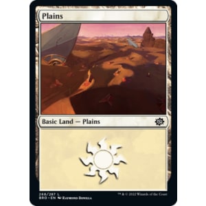 Plains
