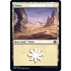 Plains