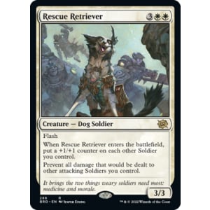Rescue Retriever