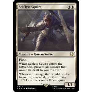 Selfless Squire