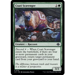 Coati Scavenger