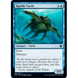 Riptide Turtle