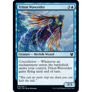 Triton Waverider