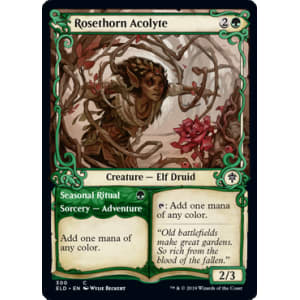 Rosethorn Acolyte