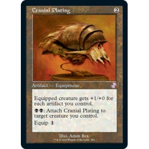 Cranial Plating
