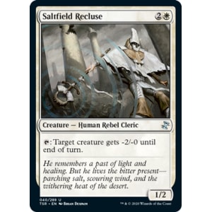 Saltfield Recluse