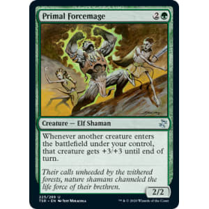 Primal Forcemage
