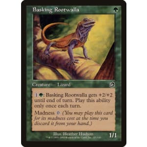 Basking Rootwalla