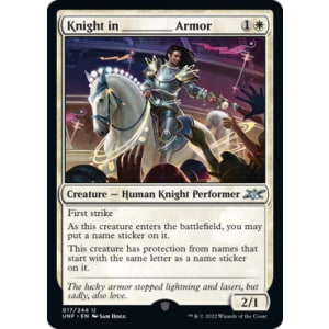 Knight in ______ Armor