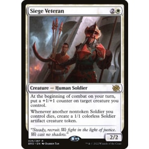 Siege Veteran