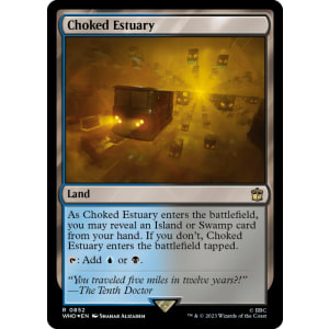 Choked Estuary (Surge Foil)