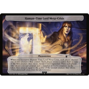 Human-Time Lord Meta-Crisis