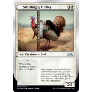 Strutting Turkey