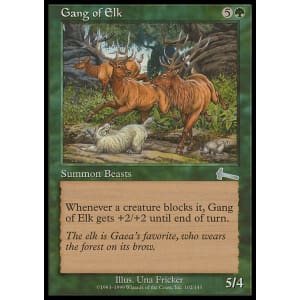 Gang of Elk